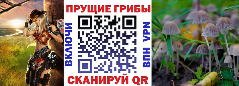 Галлюциногенные грибы Cubensis  купить наркотики цена  Щёлково 